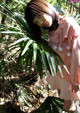 Shirouto Nana - Fotosbiaca Ebony Asstwerk P9 No.3fa8ad